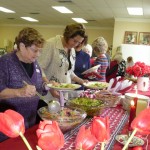 Feb 2014 Meeting P1140646 (720×1280)