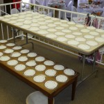 115 p FT 2014 OCT 05 104 P1010542 WS