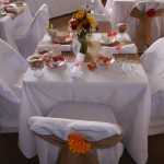 121 p FT 2014 OCT 05 107 P1010595 WS