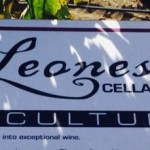 Wine Tasting 16 Leoness