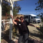 Wine Tasting 3 Leoness