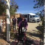 Wine Tasting 4 Leoness