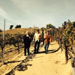 Wine Tasting 6 Leoness