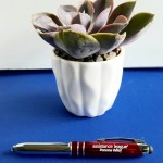 m p 2015 June 2 P1030437  84