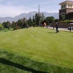 p gt MAY 11 2015 P1030054   50