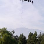 2019 Helicopter Ball Drop